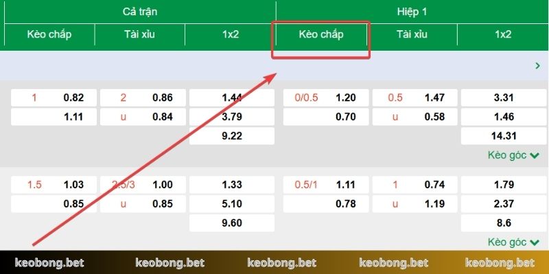 Cách đọc kèo bóng đá handicap đồng banh